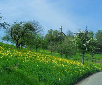 Landgasthof Hirschen Albbruck المظهر الخارجي الصورة